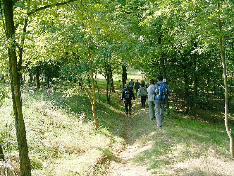 2010.10.09. 034.jpg